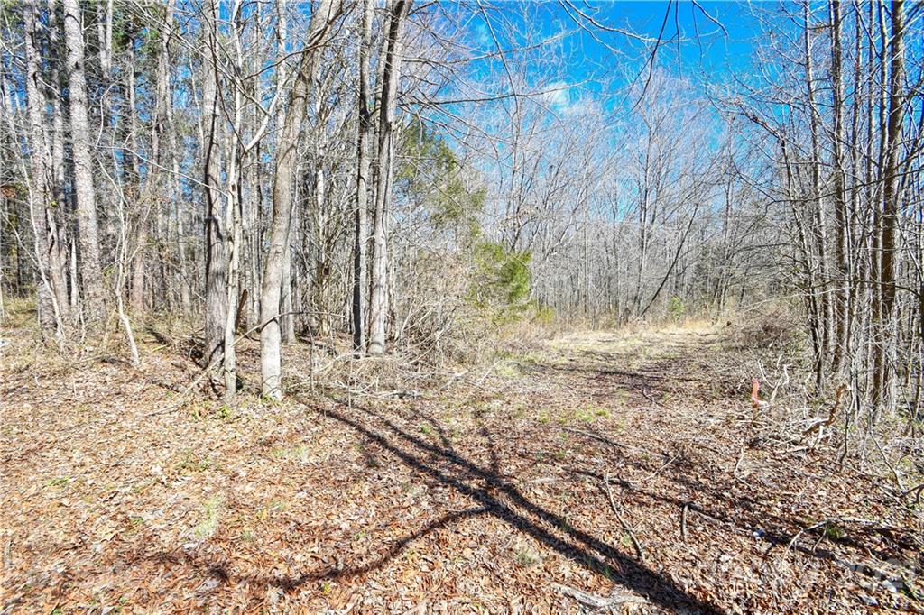 0 McLendon Road Matthews, NC 28104 - Photo 1 of 8 Gallery Image 1
