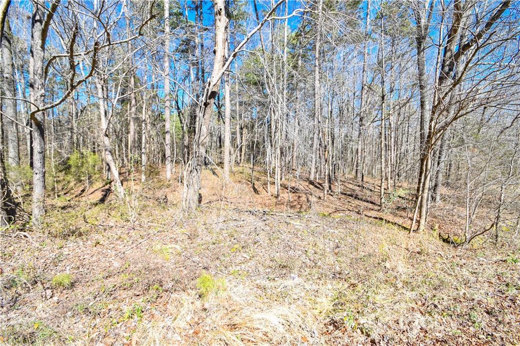 0 McLendon Road Matthews, NC 28104 - Photo 5 of 8 Gallery Image 5