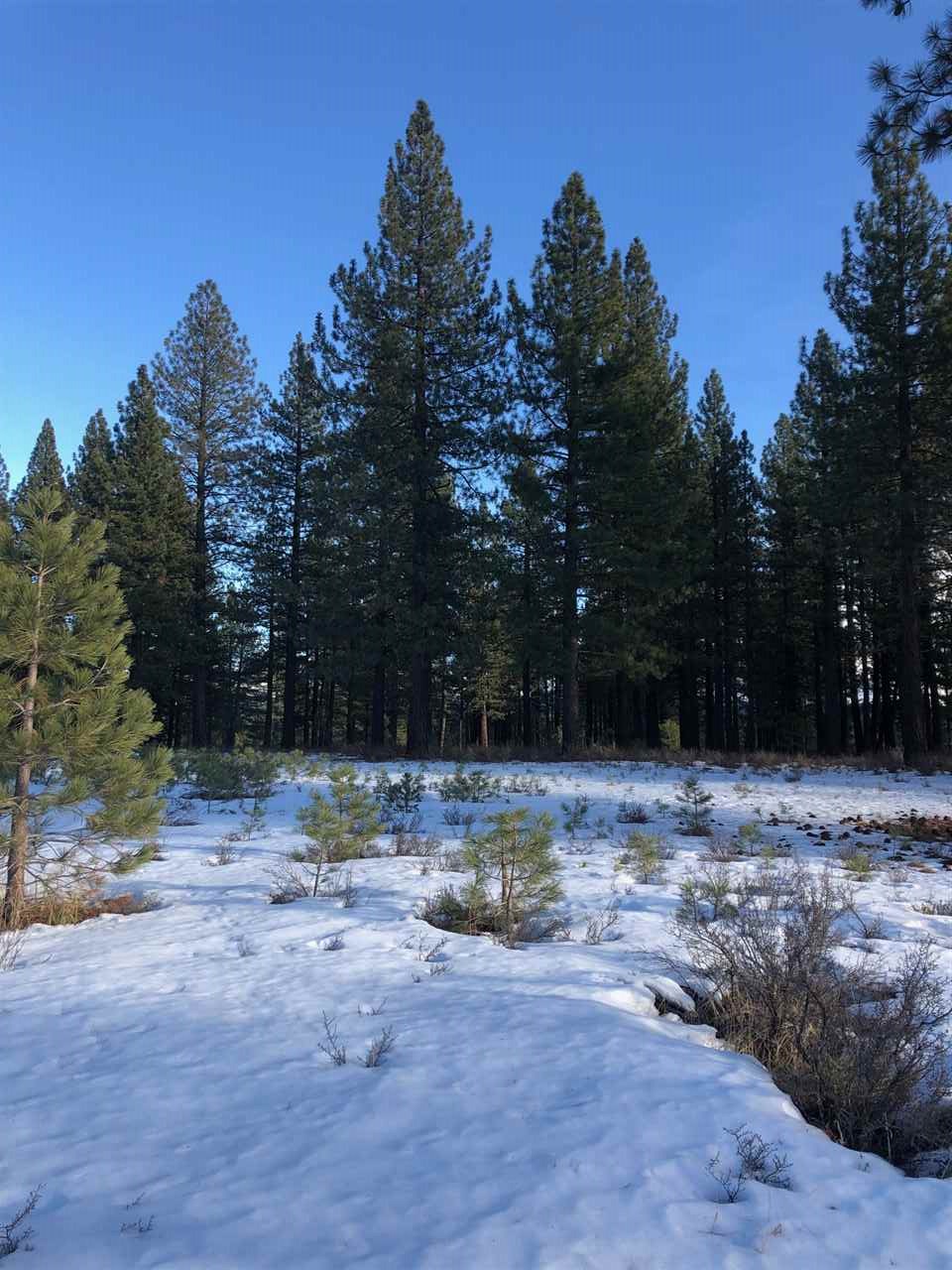 11121 Henness Road Truckee, CA 96161 - Photo 6 of 7