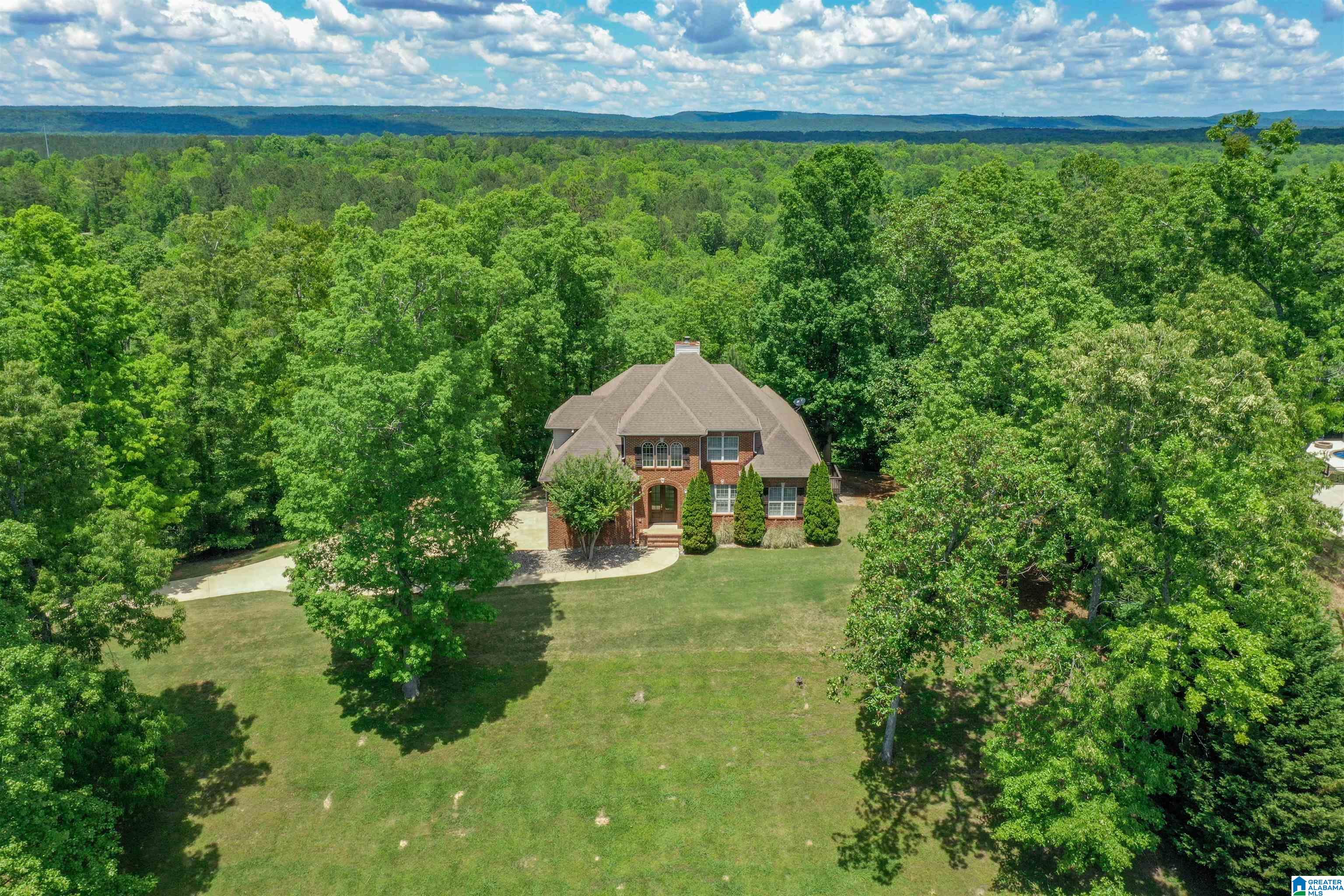 671 Hidden Ridge Chelsea, AL 35043 - Photo 3 of 76