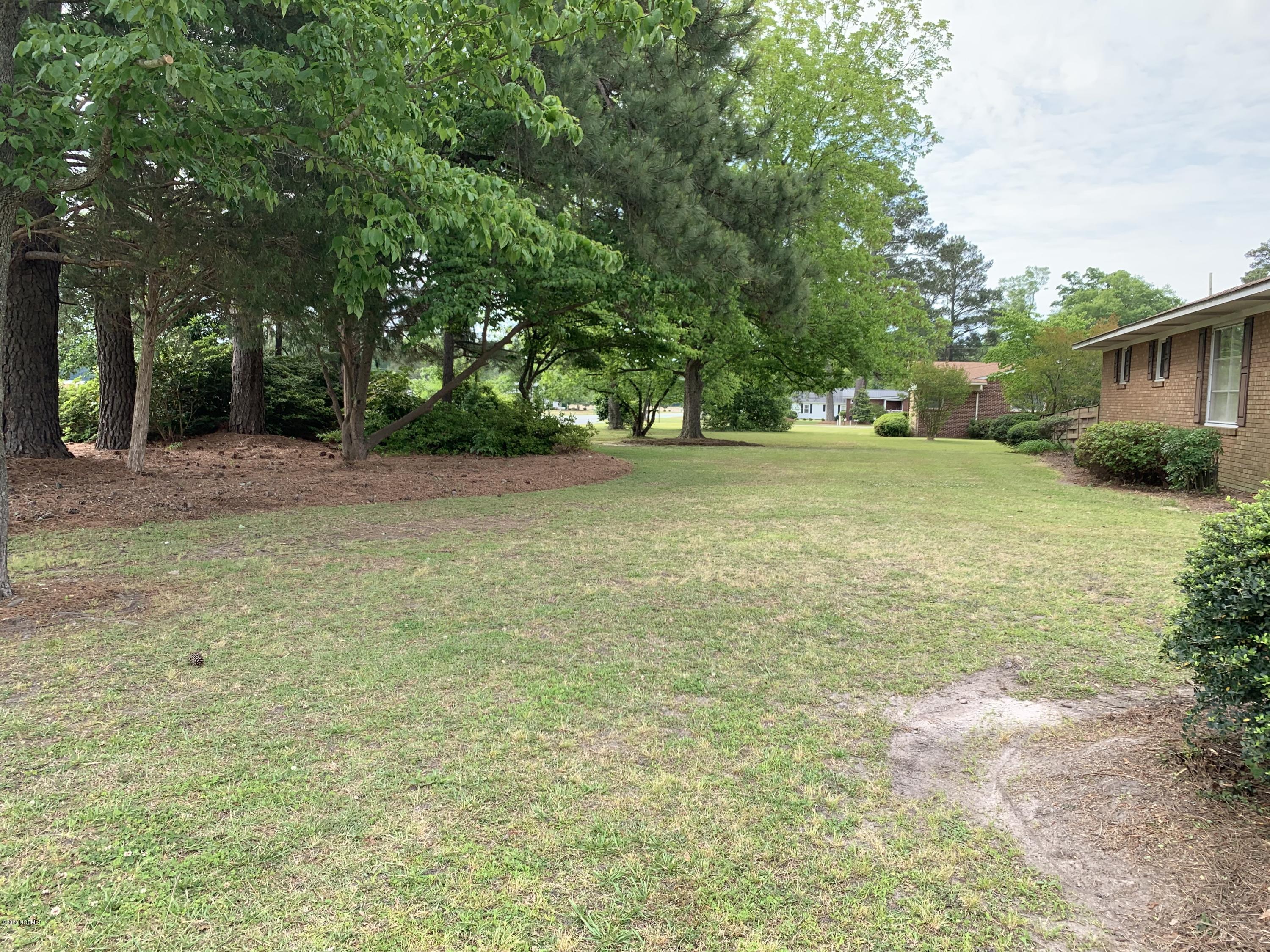 121 Academy Heights Road Kinston, NC 28504 - Photo 26 of 28 Side Yard