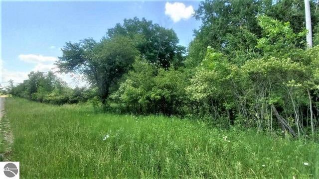 Mills Road Prescott, MI 48756 - Photo 3 of 7