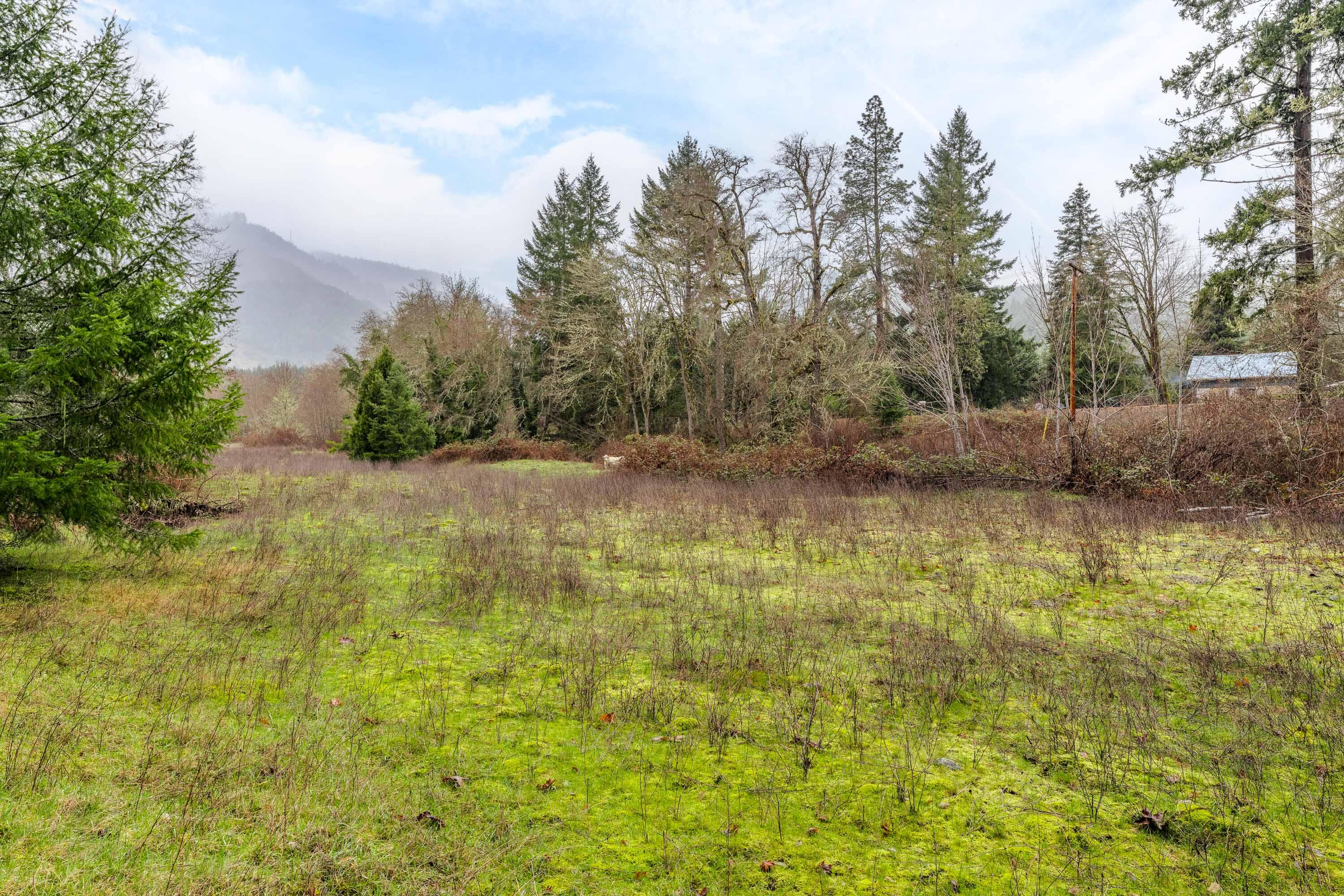 0 Upper Cow Creek Road Azalea, OR 97410 - Photo 14 of 28 EXT2 (9 of 19)