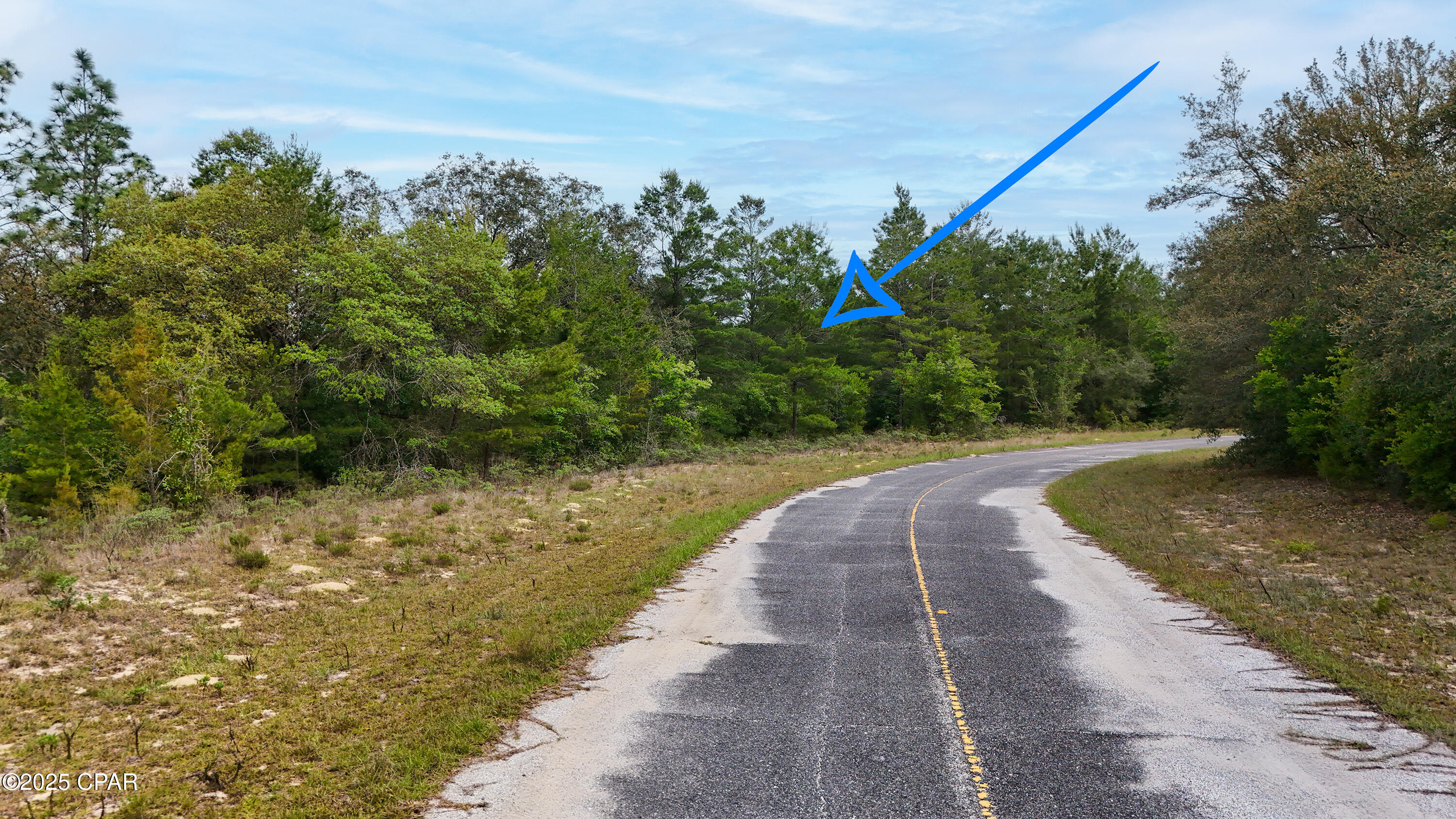 Lot 3 Cloverleaf Court Chipley, FL 32428 - Photo 4 of 7