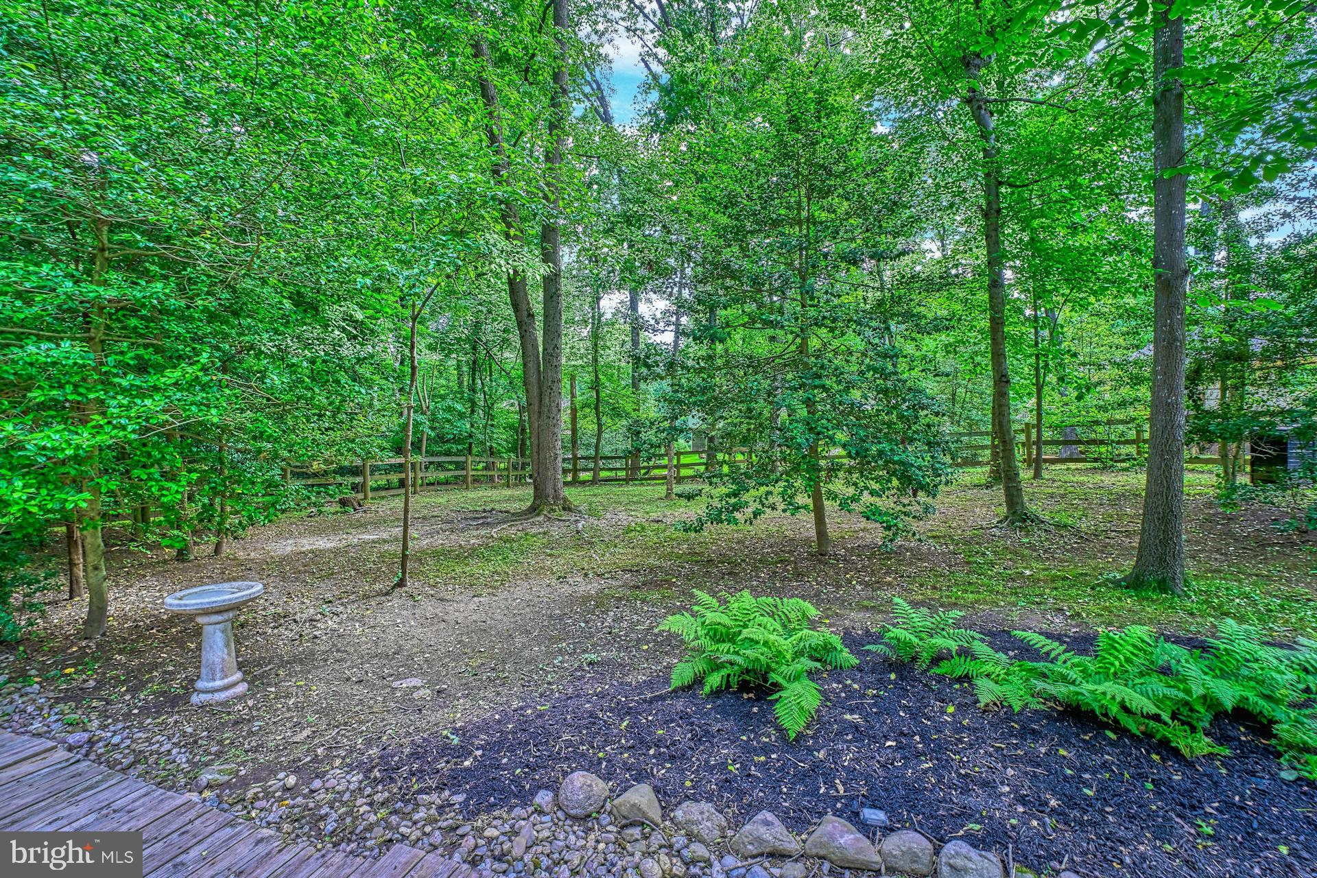 11247 Handlebar Road Reston, VA 20191 - Photo 36 of 39 Your back yard