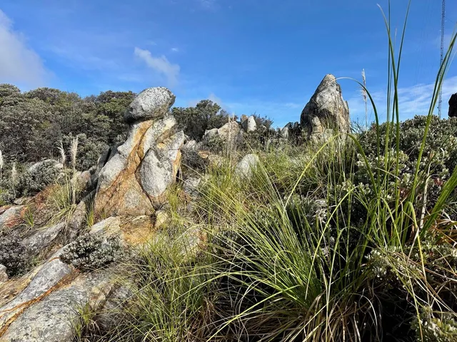 $749,000 | 301 Red Dog Ridge, Watsonville, CA 95076