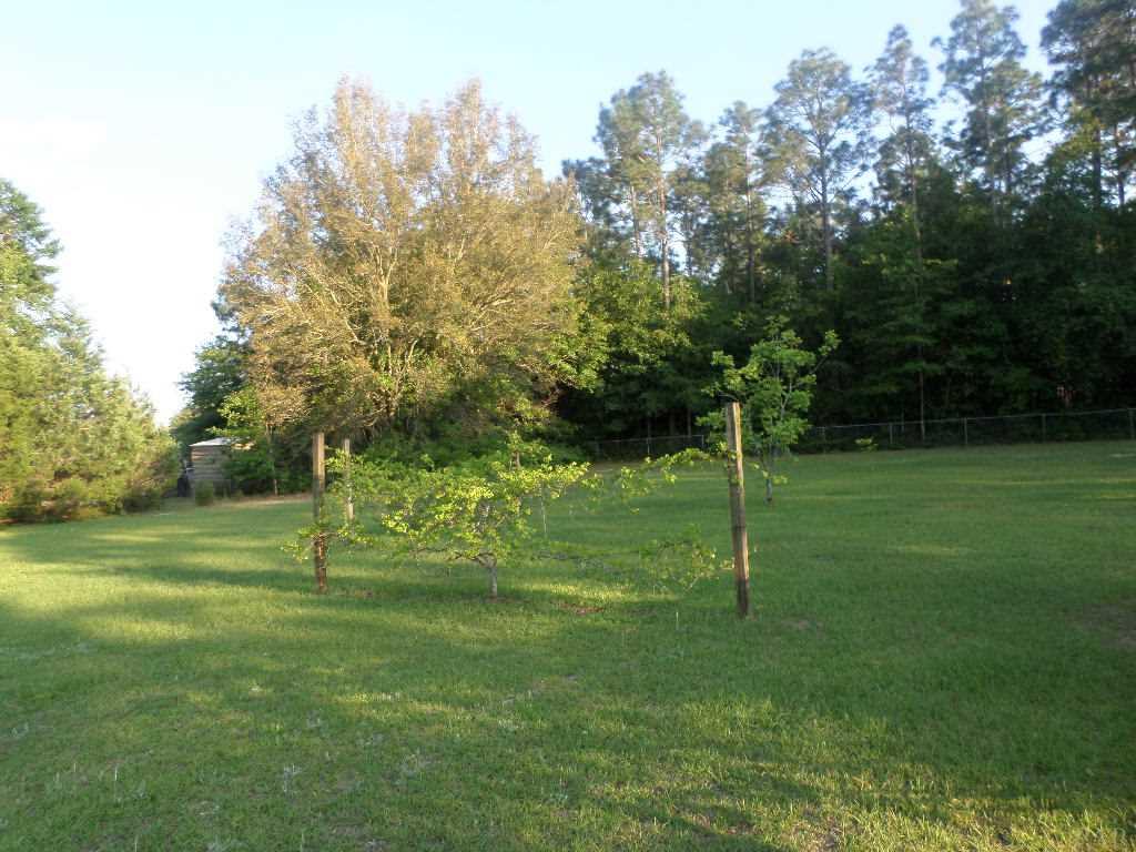 6342 Brigadier Road Milton, FL 32570 - Photo 11 of 44 Gallery Image 11