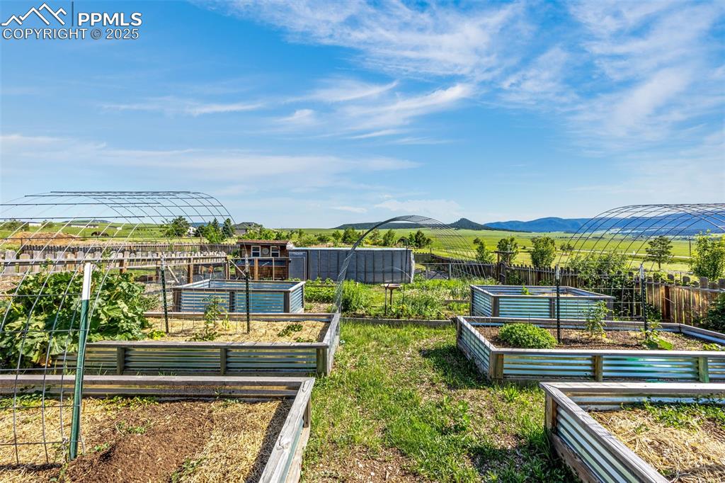 11784 Spruce Mountain Road Larkspur, CO 80118 - Photo 42 of 49 a view of swimming pool with a patio
