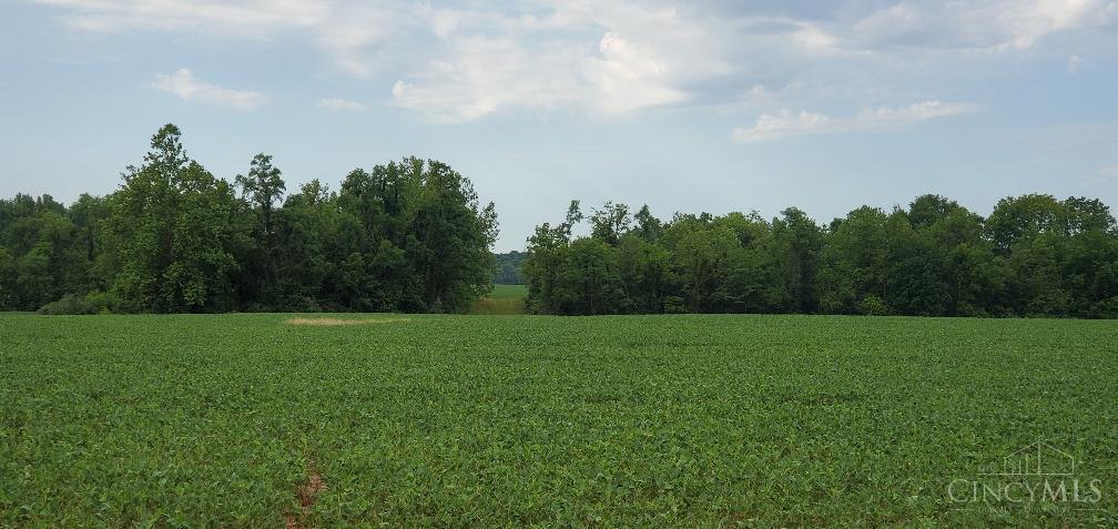 6900 T McNoun Road Georgetown, OH 45121 - Photo 12 of 16 Gallery Image 12