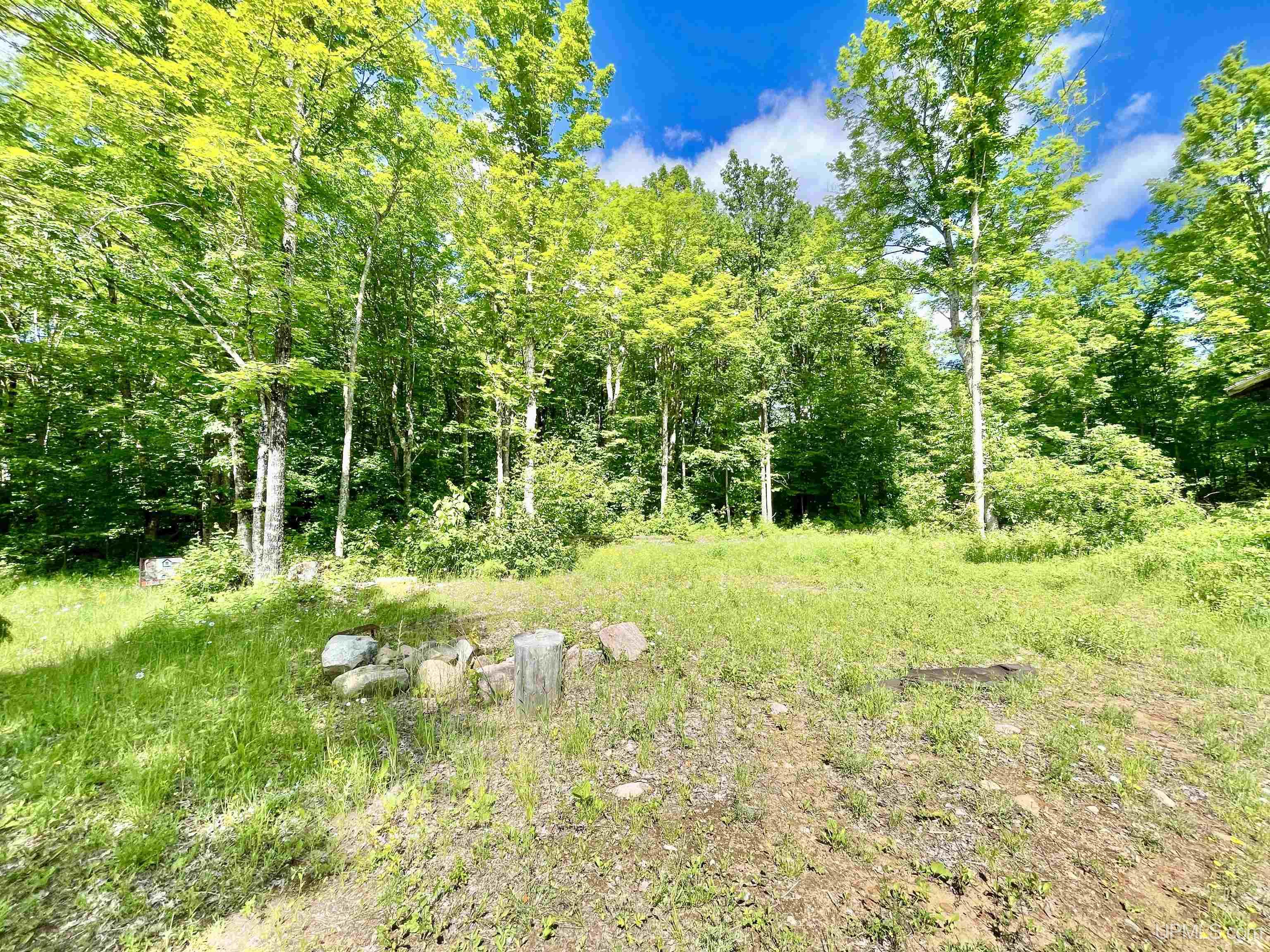 Tbd Norway Lake Road Felch, MI 49831 - Photo 12 of 14
