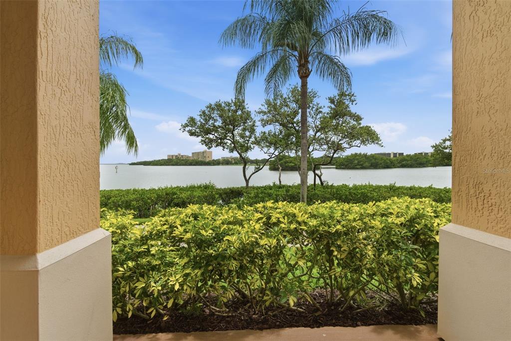 2739 Via Capri, Unit 1014 Clearwater, FL 33764 - Photo 27 of 48