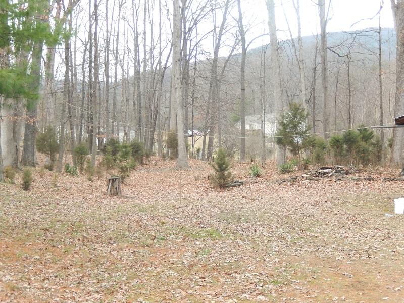4889 Fort Lewis Church Road Salem, VA 24153 - Photo 7 of 8 DSCN0868