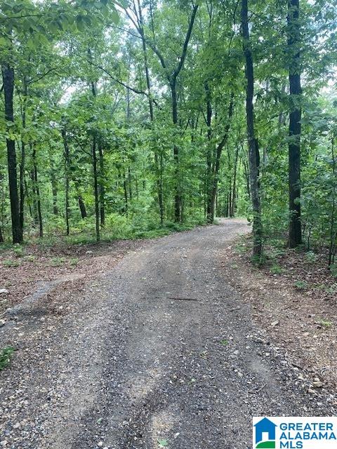 65 Oak Tree Street Cropwell, AL 35054 - Photo 42 of 50