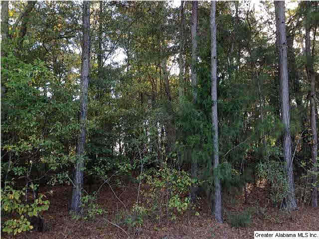 Pine Harbor Road, Unit 12 Pell City, AL 35128 - Photo 6 of 9