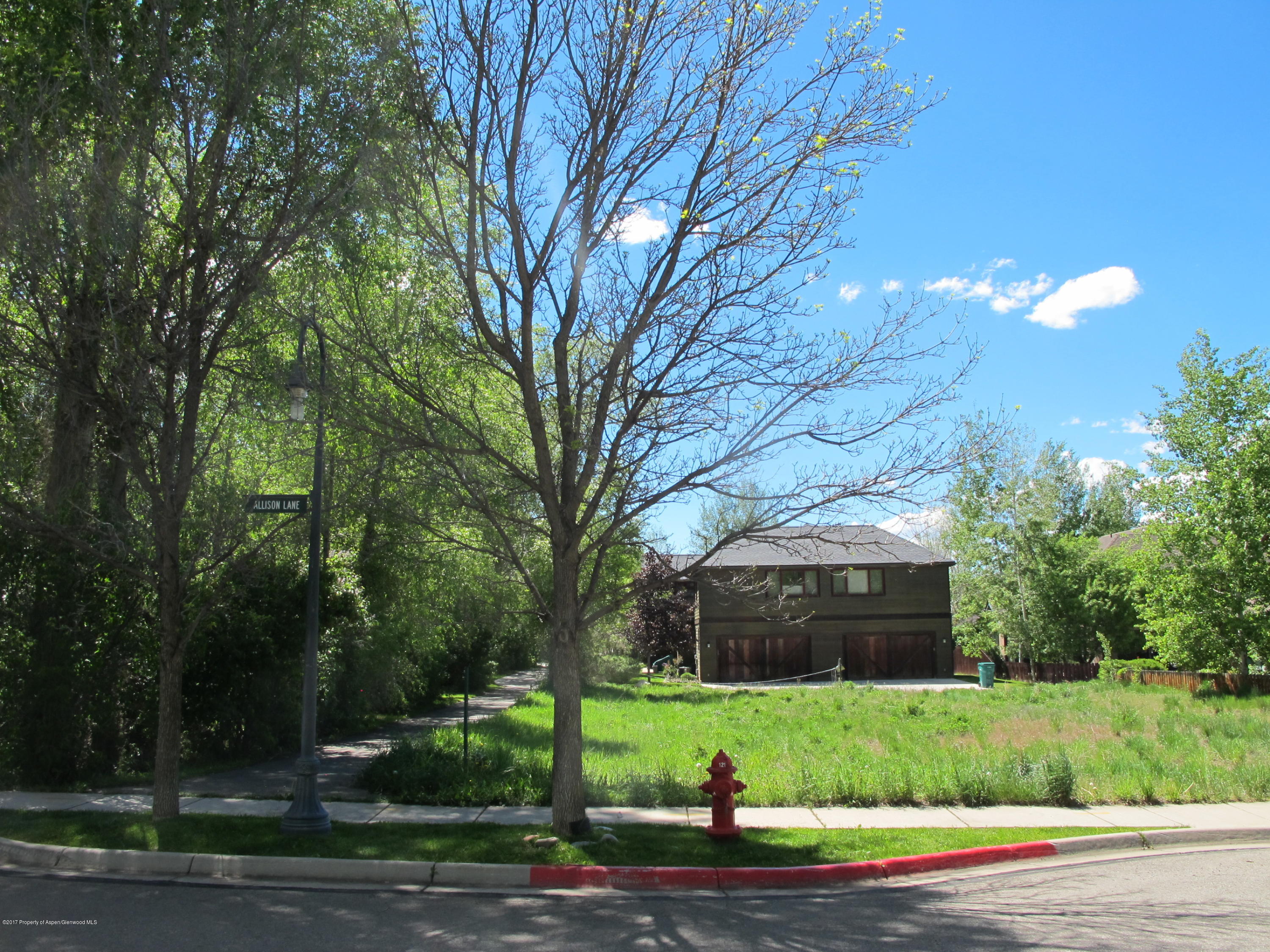 336 Allison Lane Basalt, CO 81621 - Photo 3 of 9 IMG_6111