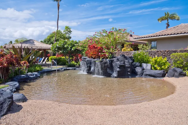 a view of a potted plants in front of a house