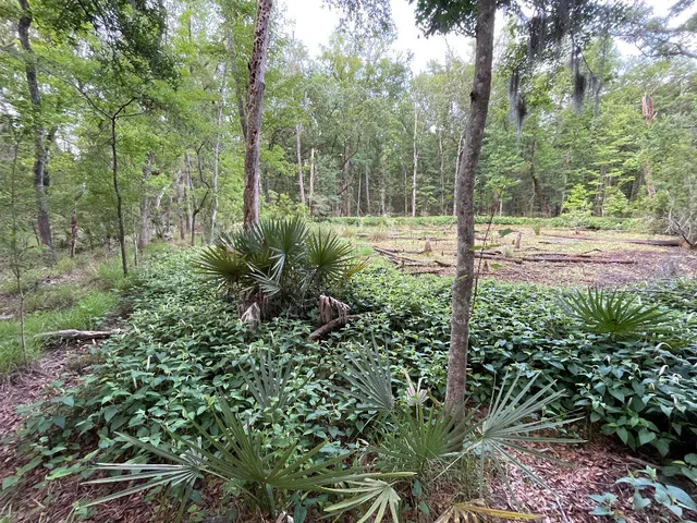 $288,999 | 15 B Beagle Club Road, Meggett, SC 29449