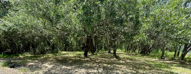 $288,999 | 15 B Beagle Club Road, Meggett, SC 29449