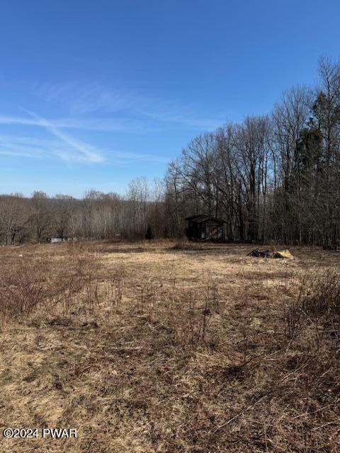 546 Scott Center Road Starrucca, PA 18462 - Photo 9 of 16 FIELD
