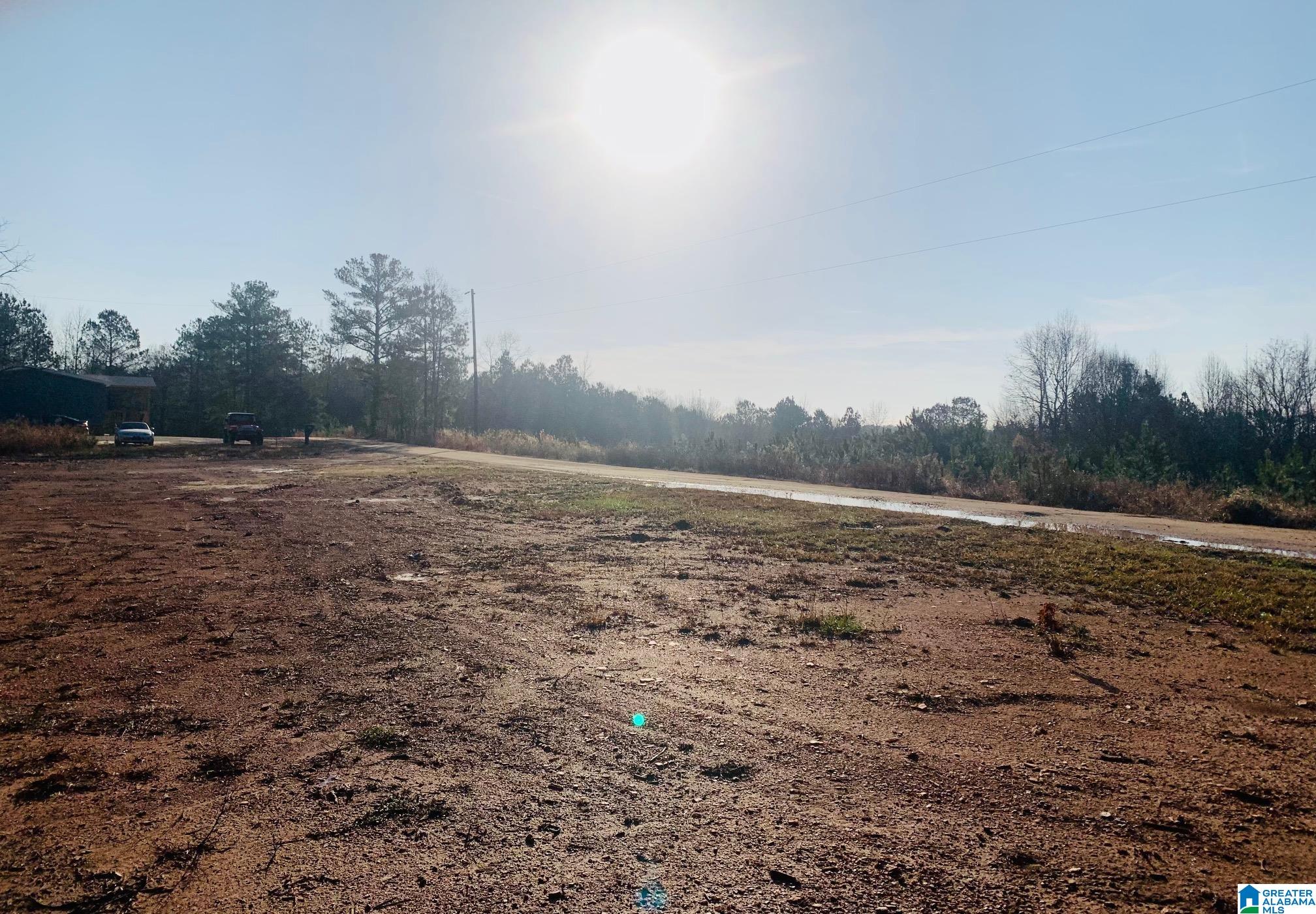 434 County Road 852, Unit 1 Ranburne, AL 36273 - Photo 3 of 14