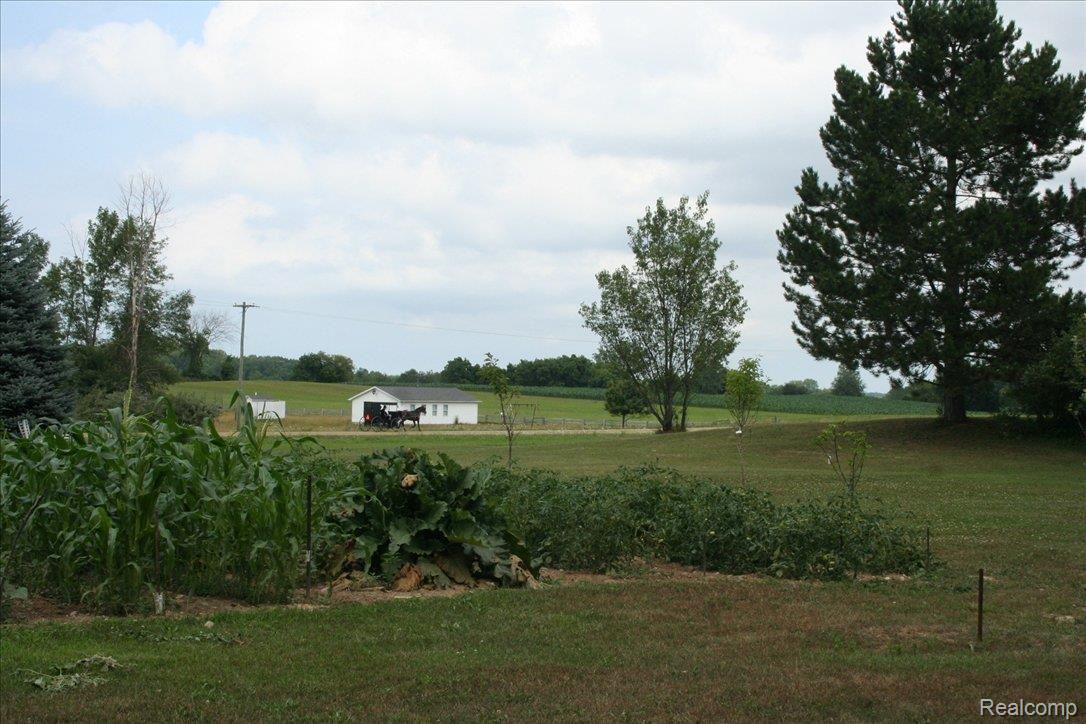 3295 Huron Line Road Cass City, MI 48726 - Photo 11 of 14 Huron Line Family Room
