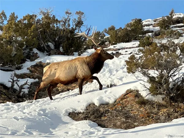 a view of an outdoor space and seating