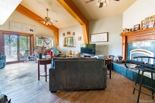 a living room with furniture a fireplace and a chandelier