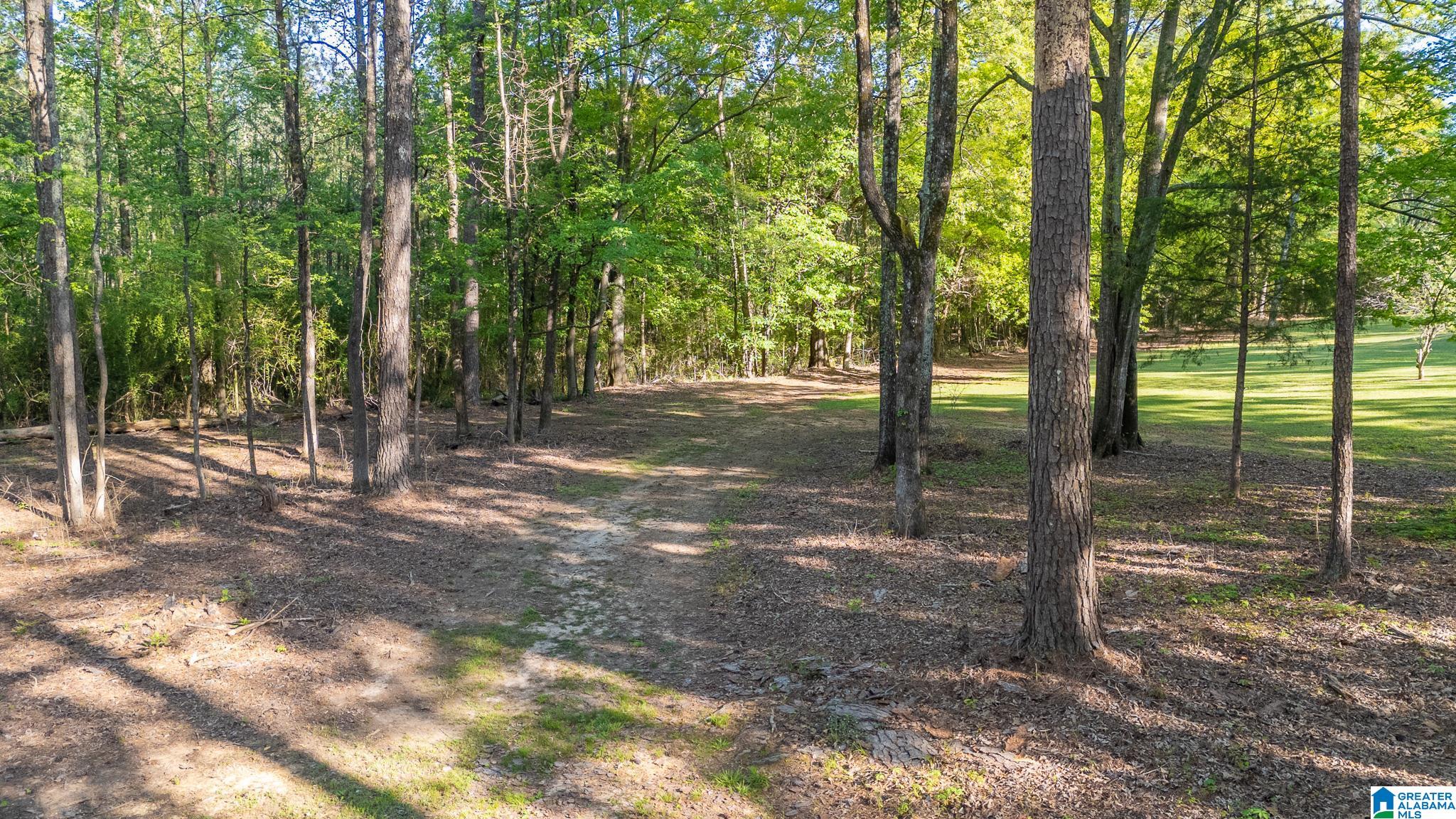 4435 Renfroe Road Talladega, AL 35160 - Photo 77 of 99 Gallery Image 77