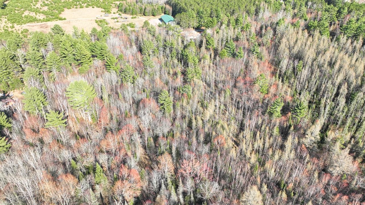 Acres On Watersmeet Lake Road, Unit 20 / Eagle River, WI 54521 - Photo 29 of 31 Gallery Image 29