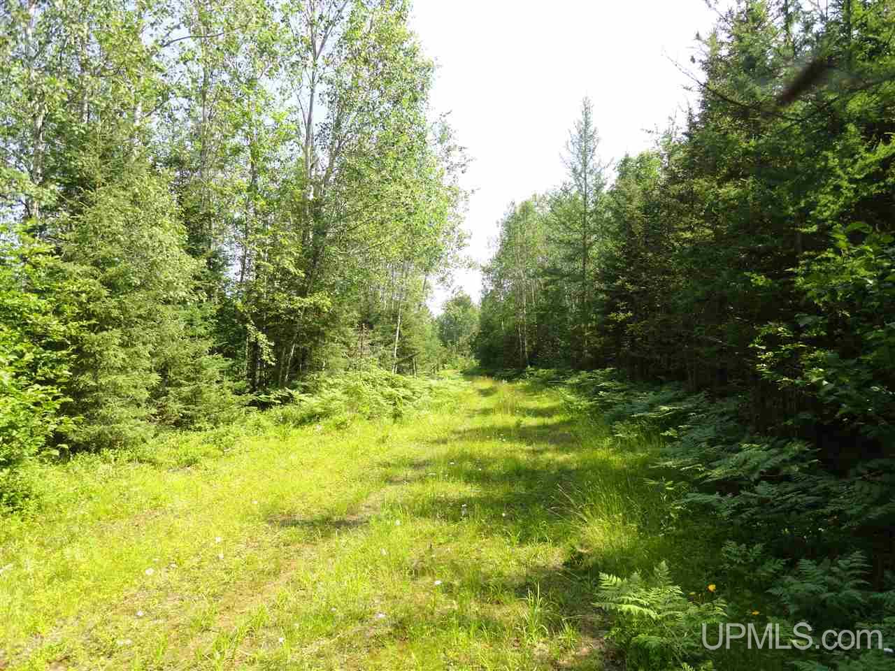 8878 Co Road Republic, MI 49879 - Photo 18 of 34
