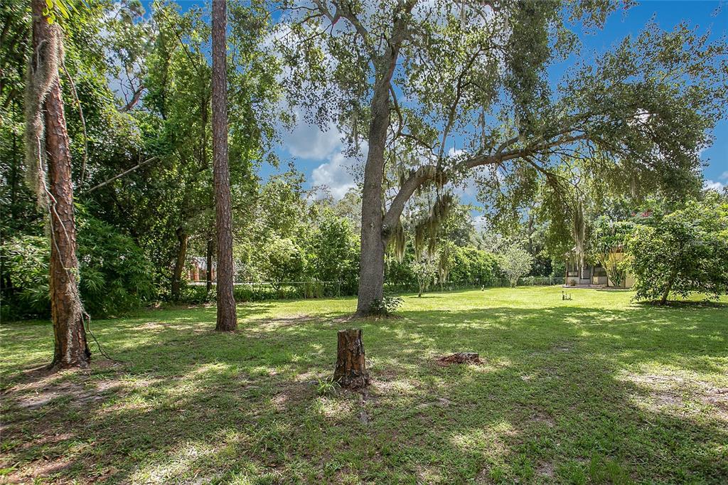 3629 Lake Buynak Road Windermere, FL 34786 - Photo 32 of 46