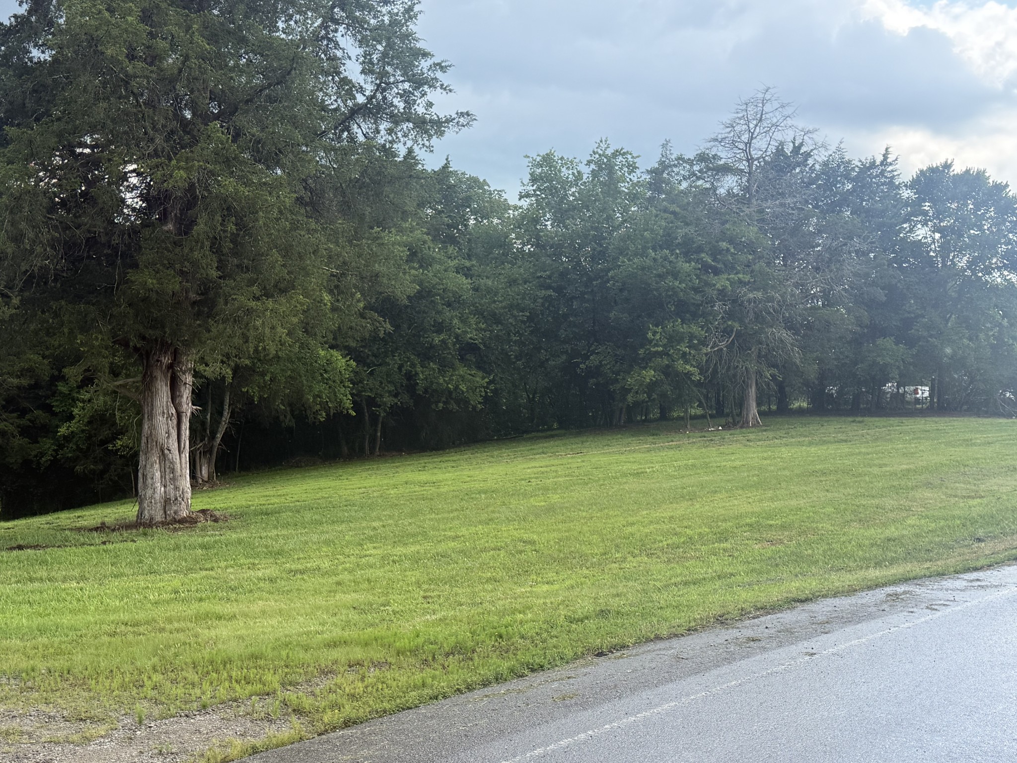 0 Burford Road Lebanon, TN 37087 - Photo 2 of 9