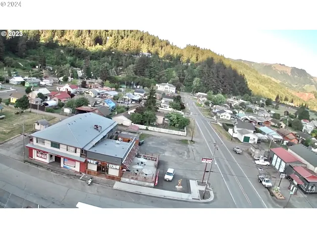 an aerial view of a residential houses with outdoor space and trees
