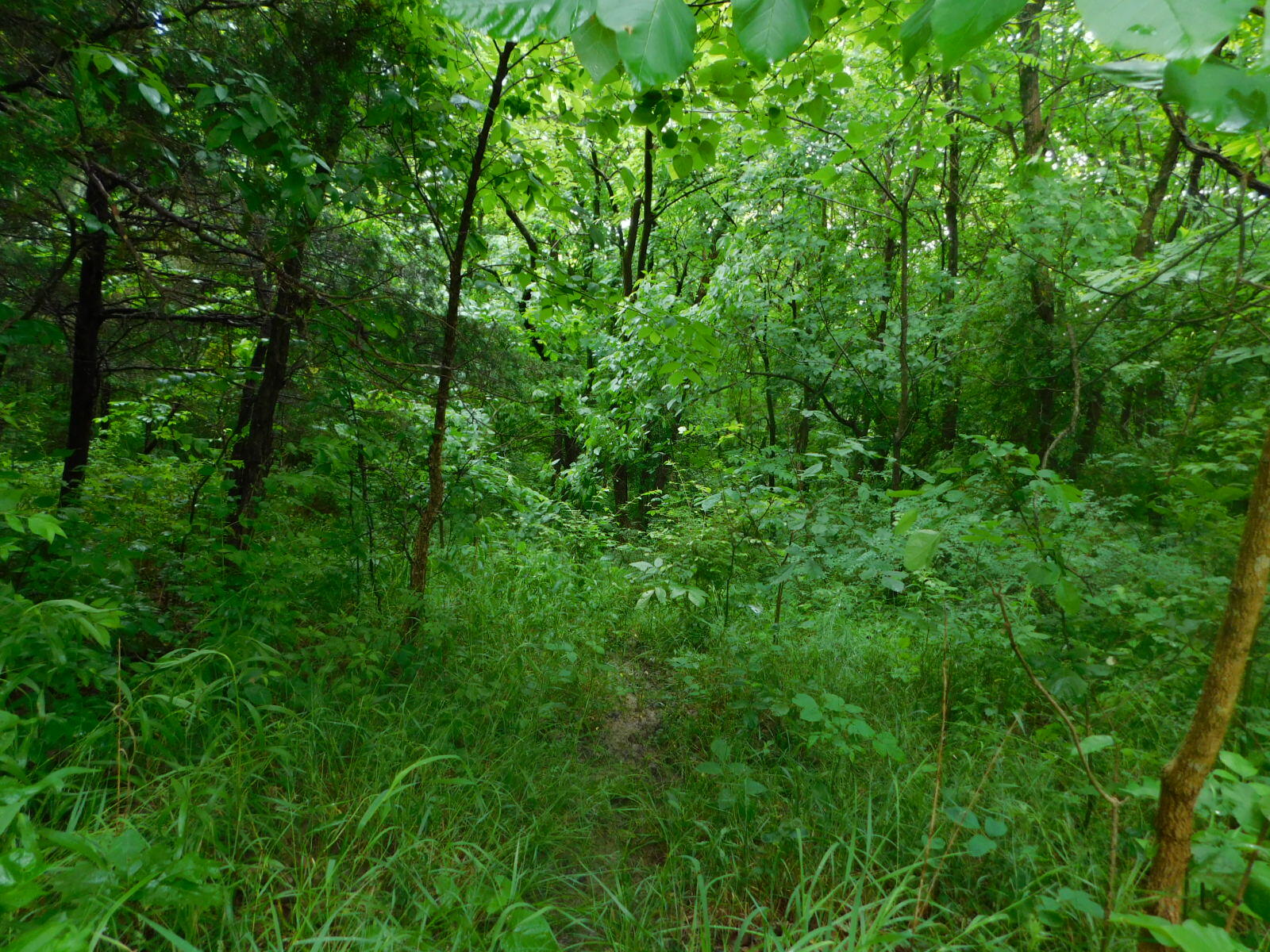 -bb New Columbus Road Owenton, KY 40359 - Photo 2 of 7 Gallery Image 2