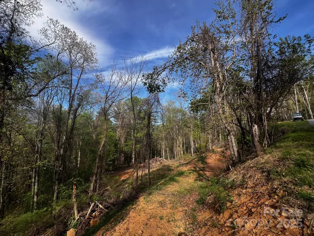 a view of a yard with trees