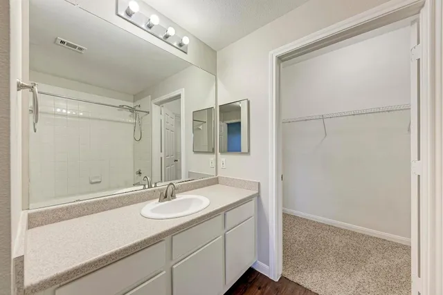 a bathroom with a sink double vanity and a mirror