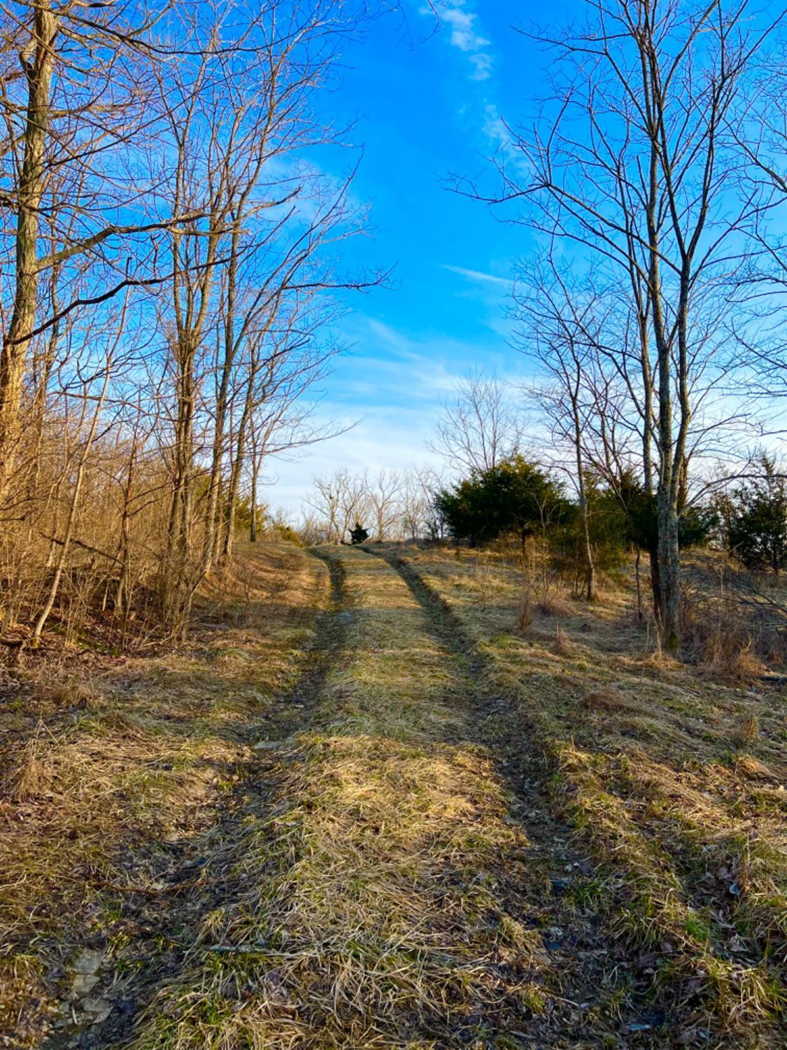 0 Ridgeland Road Manchester, OH 45144 - Photo 4 of 35