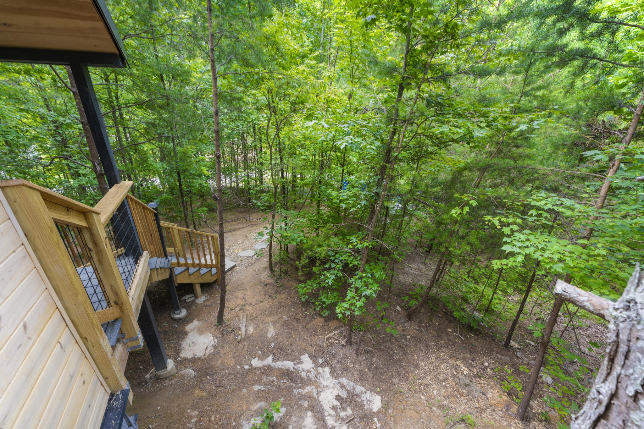 256 Deerfoot Road Cosby, TN 37722 - Photo 15 of 17 Gallery Image 15