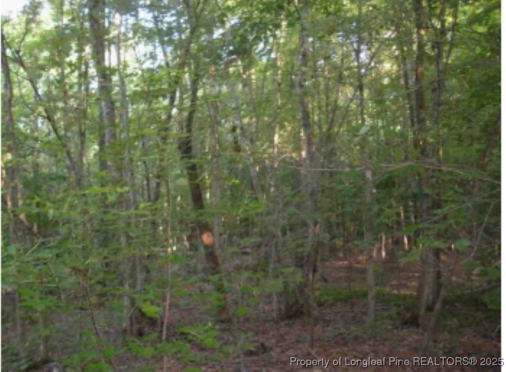 Hawks Road Norlina, NC 27563 - Photo 5 of 9