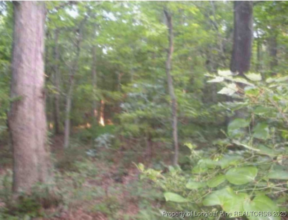 Hawks Road Norlina, NC 27563 - Photo 6 of 9