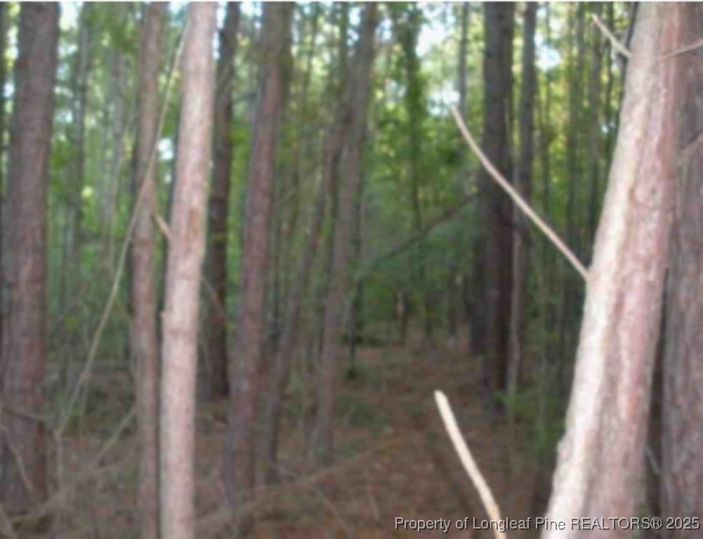 Hawks Road Norlina, NC 27563 - Photo 7 of 9