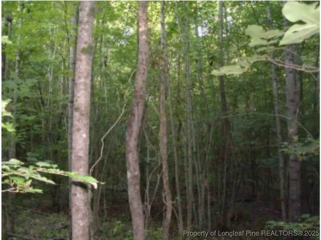 $80,000 | Hawks Road, Norlina, NC 27563