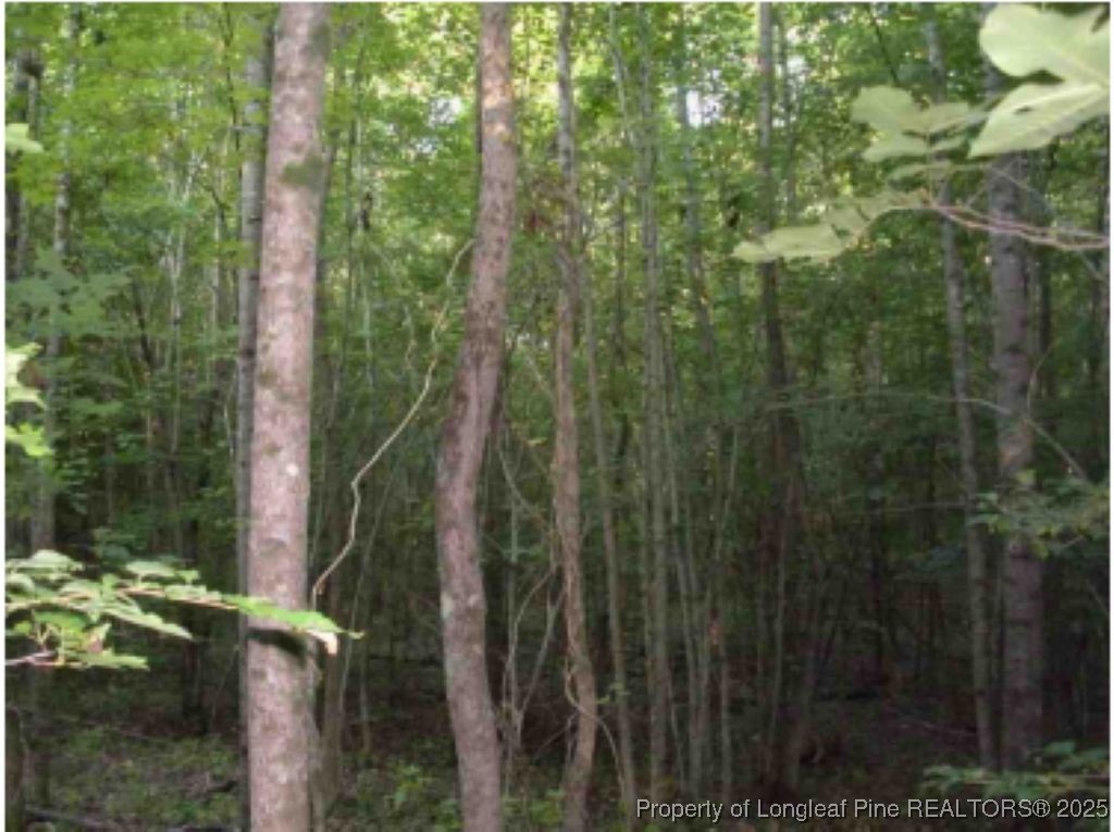 Hawks Road Norlina, NC 27563 - Photo 8 of 9