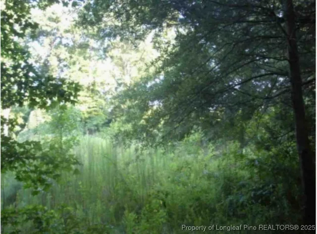 $80,000 | Hawks Road, Norlina, NC 27563