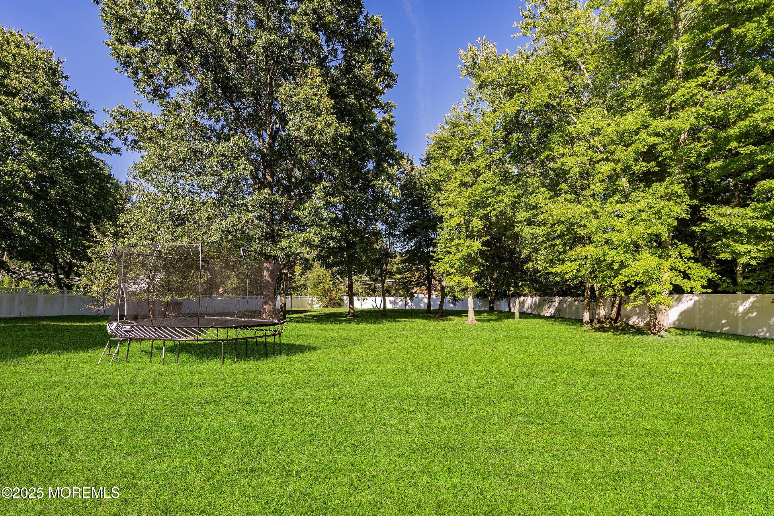657 Rodriguez Lane Jackson, NJ 08527 - Photo 33 of 42 36-Backyard GRASS