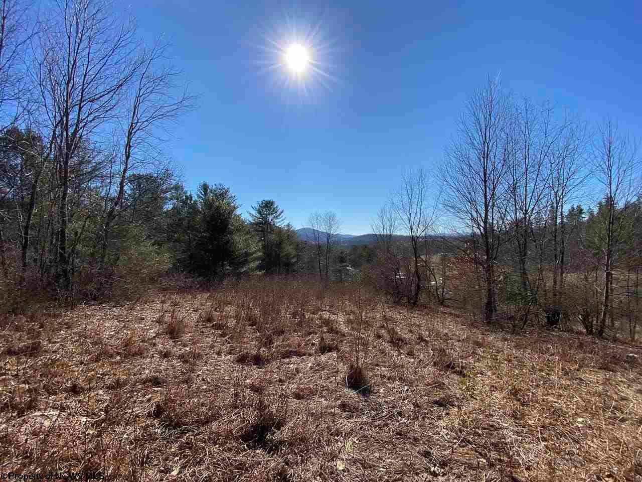 Tbd Kings Run Road Beverly, WV 26253 - Photo 4 of 7 Gallery Image 4