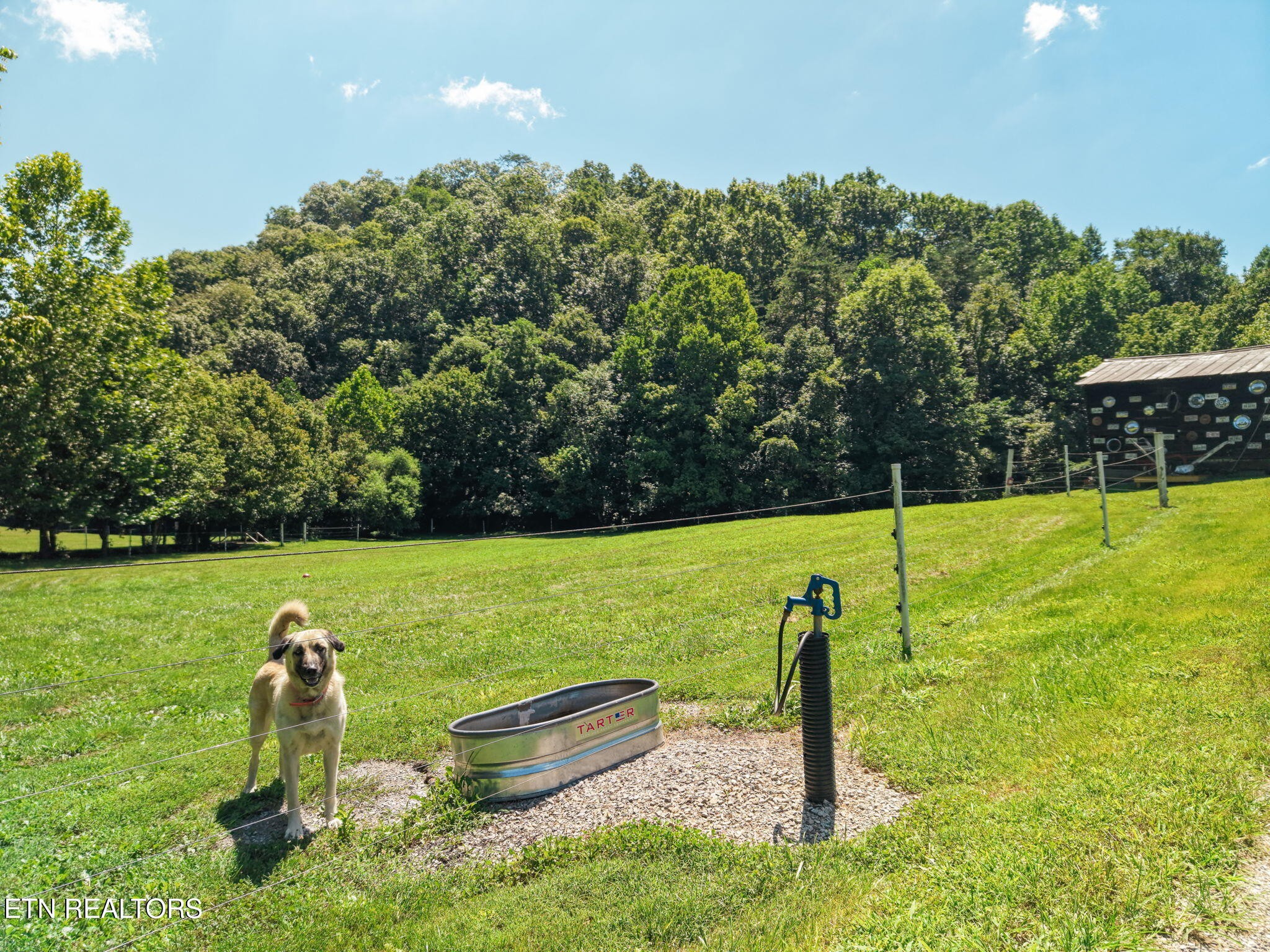 3000 Upper Caney Valley Road Tazewell, TN 37879 - Photo 25 of 50 Gallery Image 25