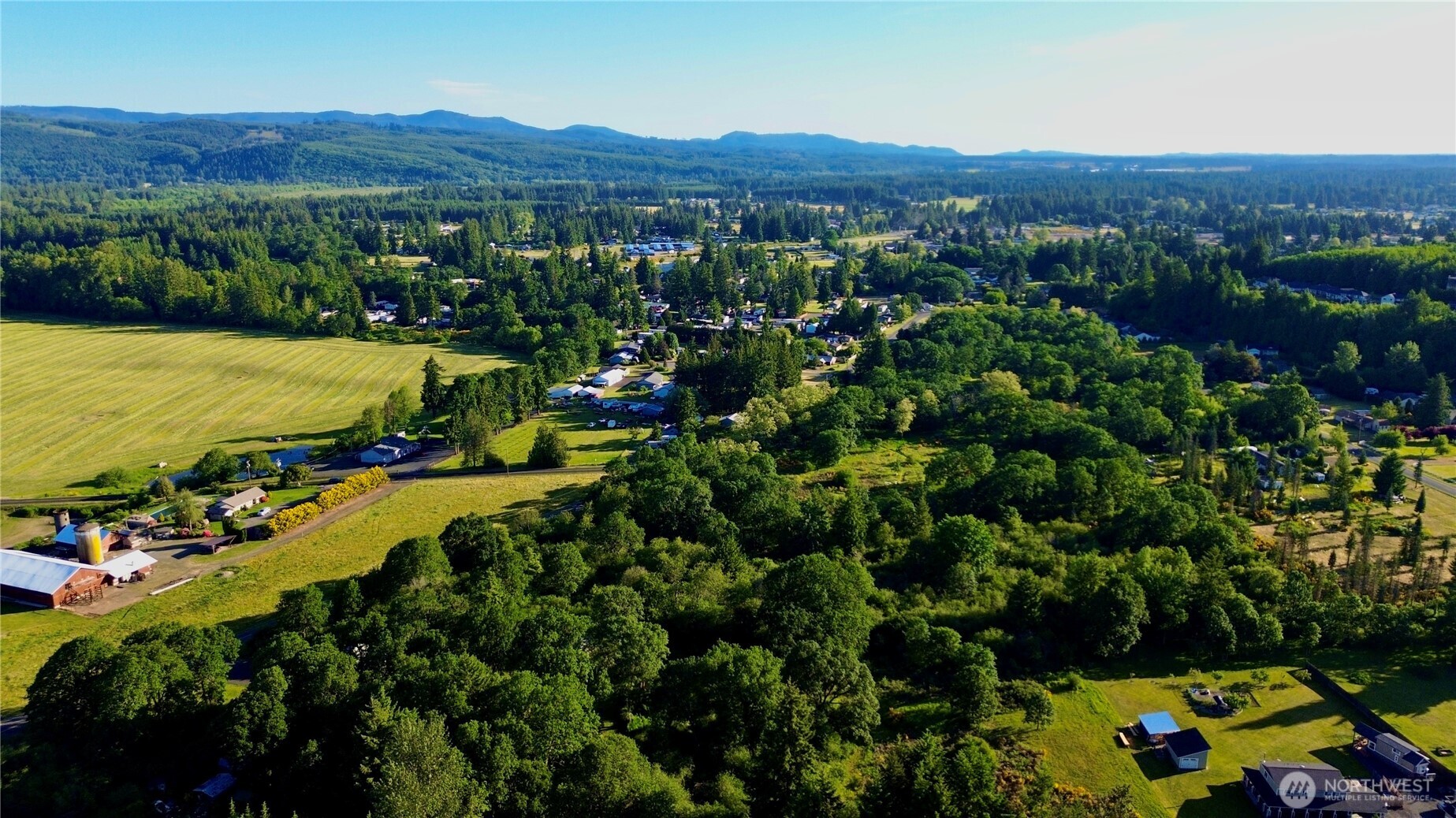 19230 Albany Street Southwest Rochester, WA 98579 - Photo 13 of 23 a view of a lush green field with mountains in the background