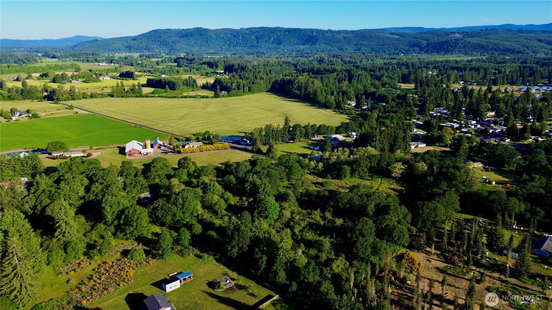 19230 Albany Street Southwest Rochester, WA 98579 - Photo 14 of 23 a view of a lush green hillside and a houses