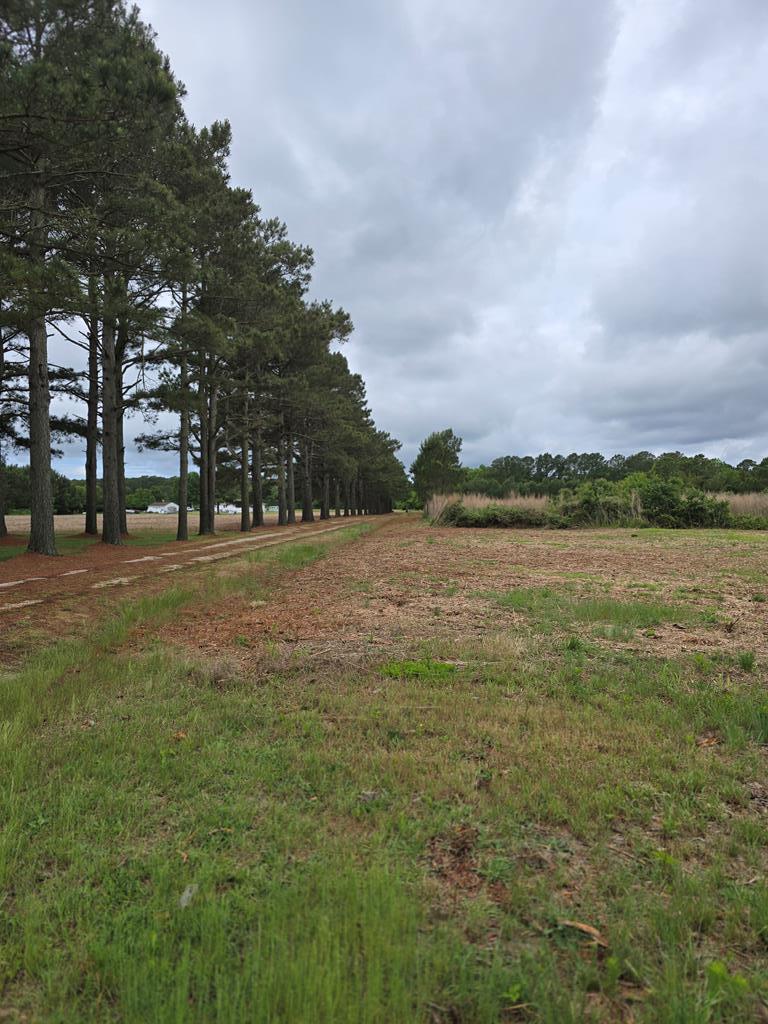 0 Bunting Point Road Melfa, VA 23410 - Photo 3 of 17